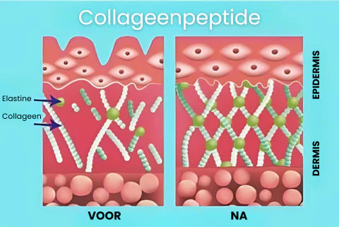 Anti-Falten Botox Gesichtsserum